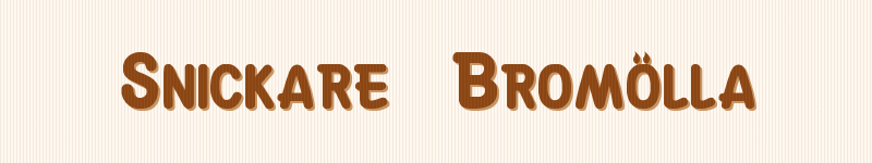Snickare Bromölla