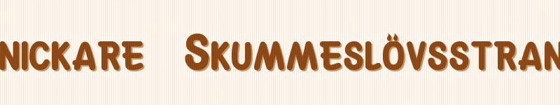 Snickare Skummeslövsstrand